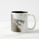 Search for macaque mugs Wildlife
