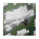 Search for digital tiles White