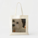 Search for maltipoo gifts Adorable