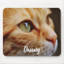 Search for green eyes mouse mats Kitten