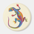 Search for lizards magnets Pets