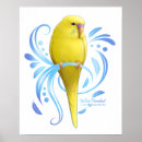 Search for parakeet posters Budgie