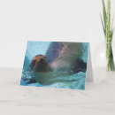 Search for california cards Wildlife