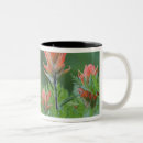 Search for indian paintbrush mugs Green