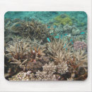 Search for underwater mouse mats Fish