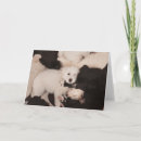 Search for dog napping cards Golden retriever