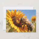 Search for pollinators postcards Wildlife