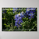 Search for develop posters Blue
