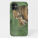 Search for african lion iphone cases Wildlife