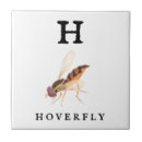 Search for hoverflies Insect