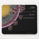 Search for structure mouse mats Colour