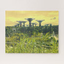 Search for singapore puzzles Gardens by the bay