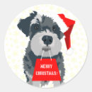 Search for mini schnauzer stickers Cute