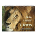 Search for lion calendars Wildlife