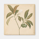 Search for panelling magnets Decorative