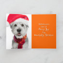 Search for shaggy dog cards Animals
