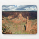 Search for eroded mouse mats North america