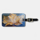 Search for frozen luggage tags Ice