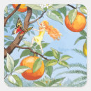 Search for fruit tree stickers Vintage