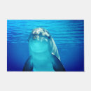 Search for dolphin gifts Nature