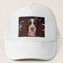 Search for spaniels hats English springer spaniel