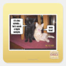 Search for catnip stickers I can has cheezburger