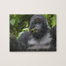 Search for silverback gorilla toy games Buffalo