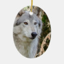 Search for white wolf christmas tree decorations Dog