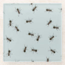 Search for ant gifts Blue