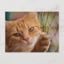 Search for miss you postcards Animal