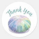 Search for sea urchin stickers Beach