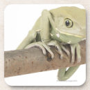 Search for crawl barware Colour image