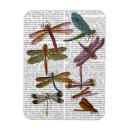 Search for dragonfly magnets Dragonflies