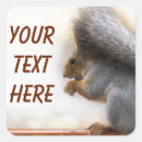 Search for bench square stickers Nature
