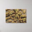Search for pollen canvas prints Life science