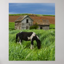 Search for palouse posters Majestic