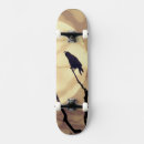 Search for raven skateboards Silhouette