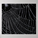 Search for macros posters Spider