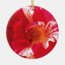 Search for occasions christmas tree decorations Flowers