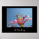 Search for calla art Lily