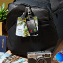 Search for palm tree accessories Cute