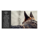 Search for herding dog posters Shepherd