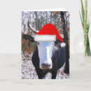 Search for cow christmas cards Heifer