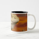 Search for bearded dragon mugs Scales