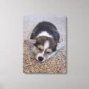 Search for queen elizabeth canvas prints Corgi