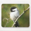 Search for capped chickadee electronics Animal