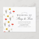 Search for spring daisy postcards Botanical