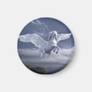 Search for pegasus magnets Magical