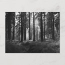 Search for rains postcards Nature