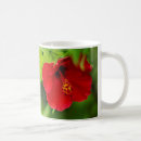 Search for red hibiscus flowers mugs Hawaii